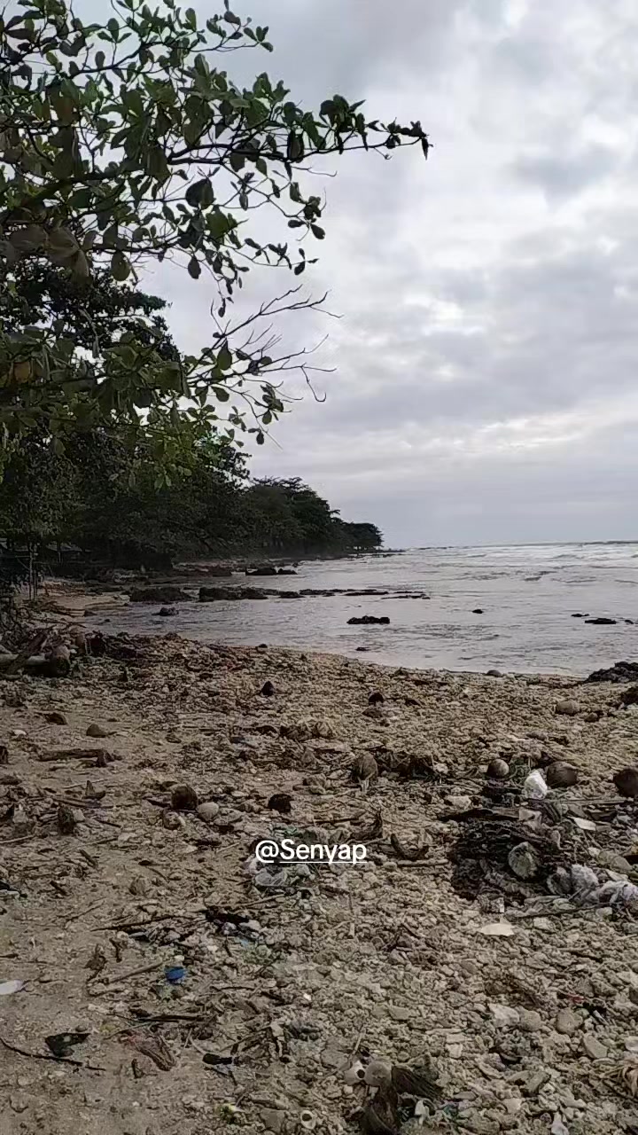 @Senyap