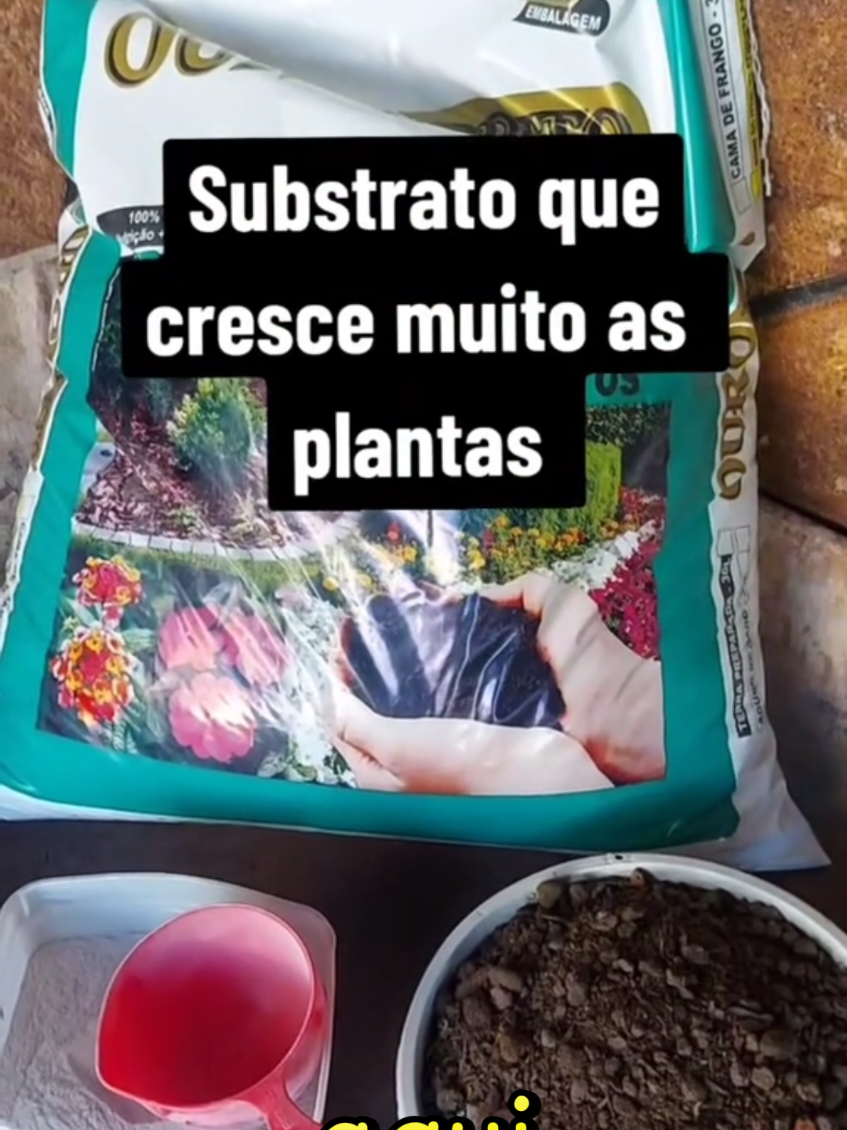 @quintalverde
