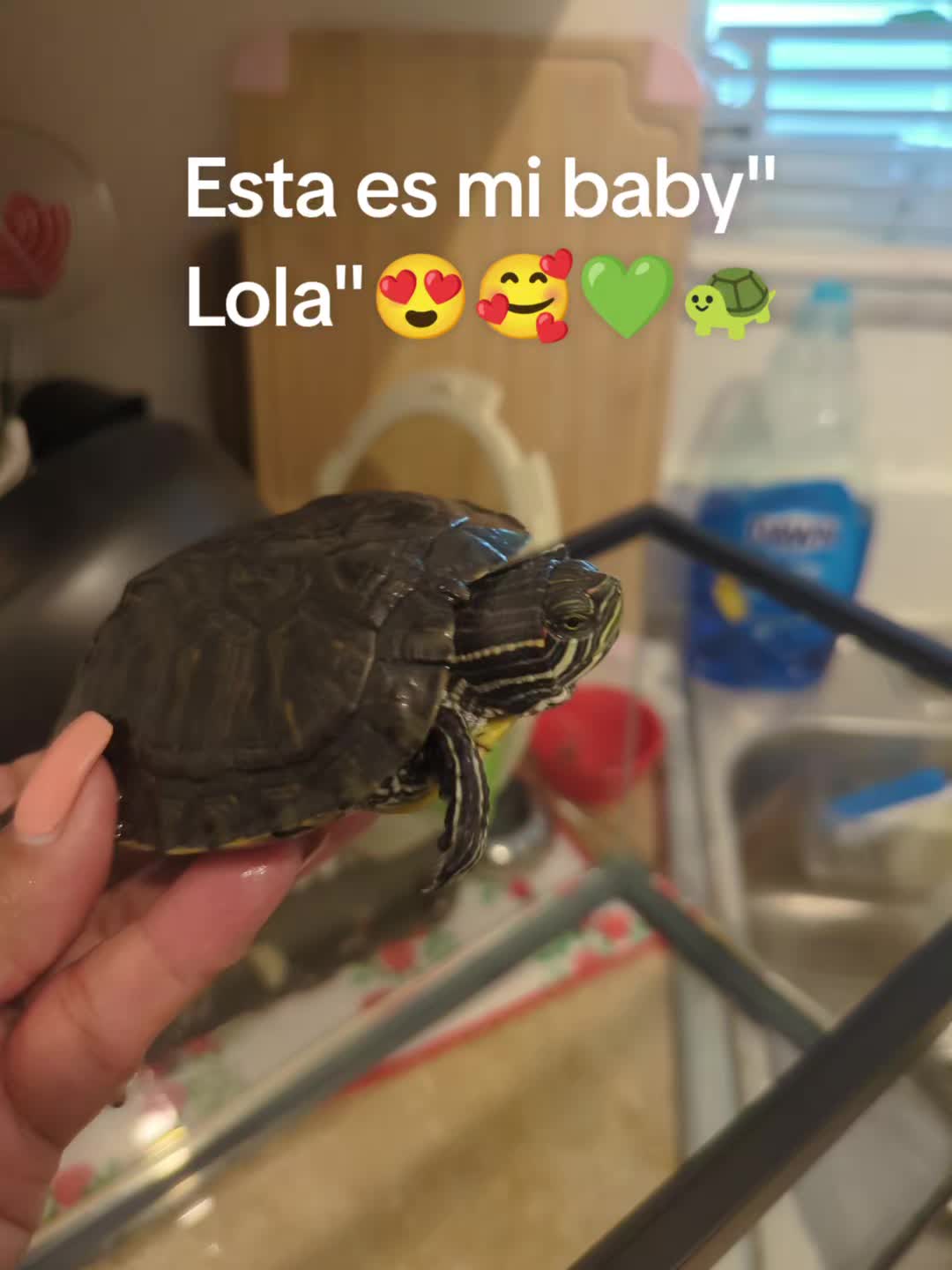 @Abbylicious🇵🇷💯🌺🐸