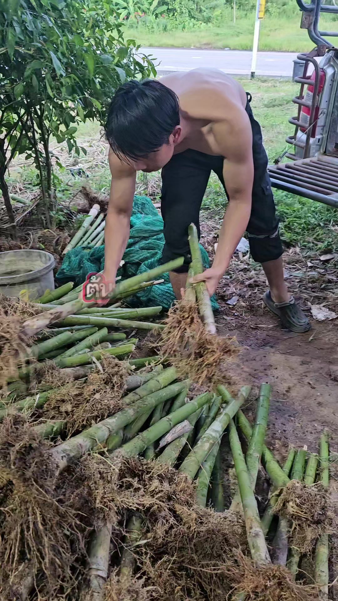 @นัดดาชอป