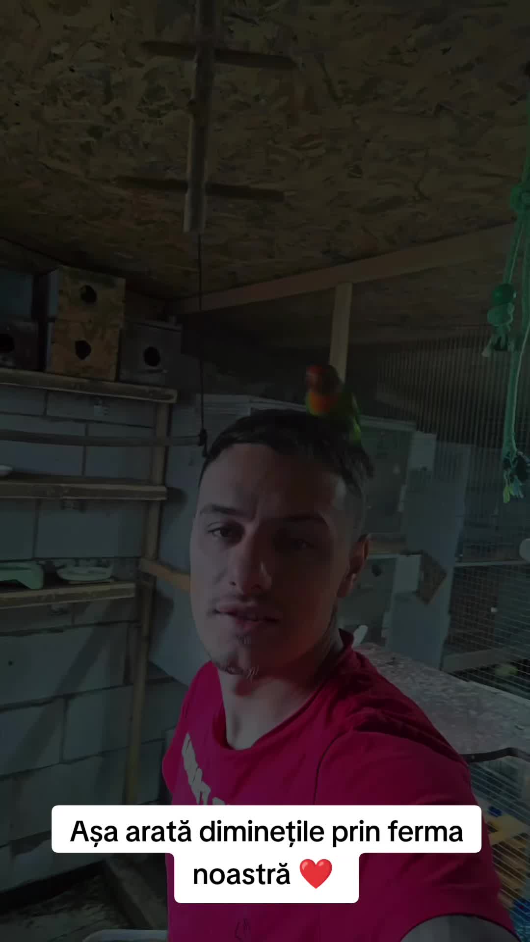 @Marius Niță