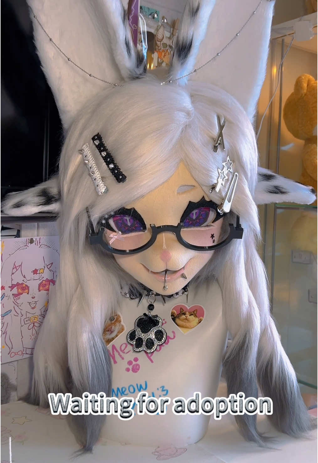 @Meowpaw