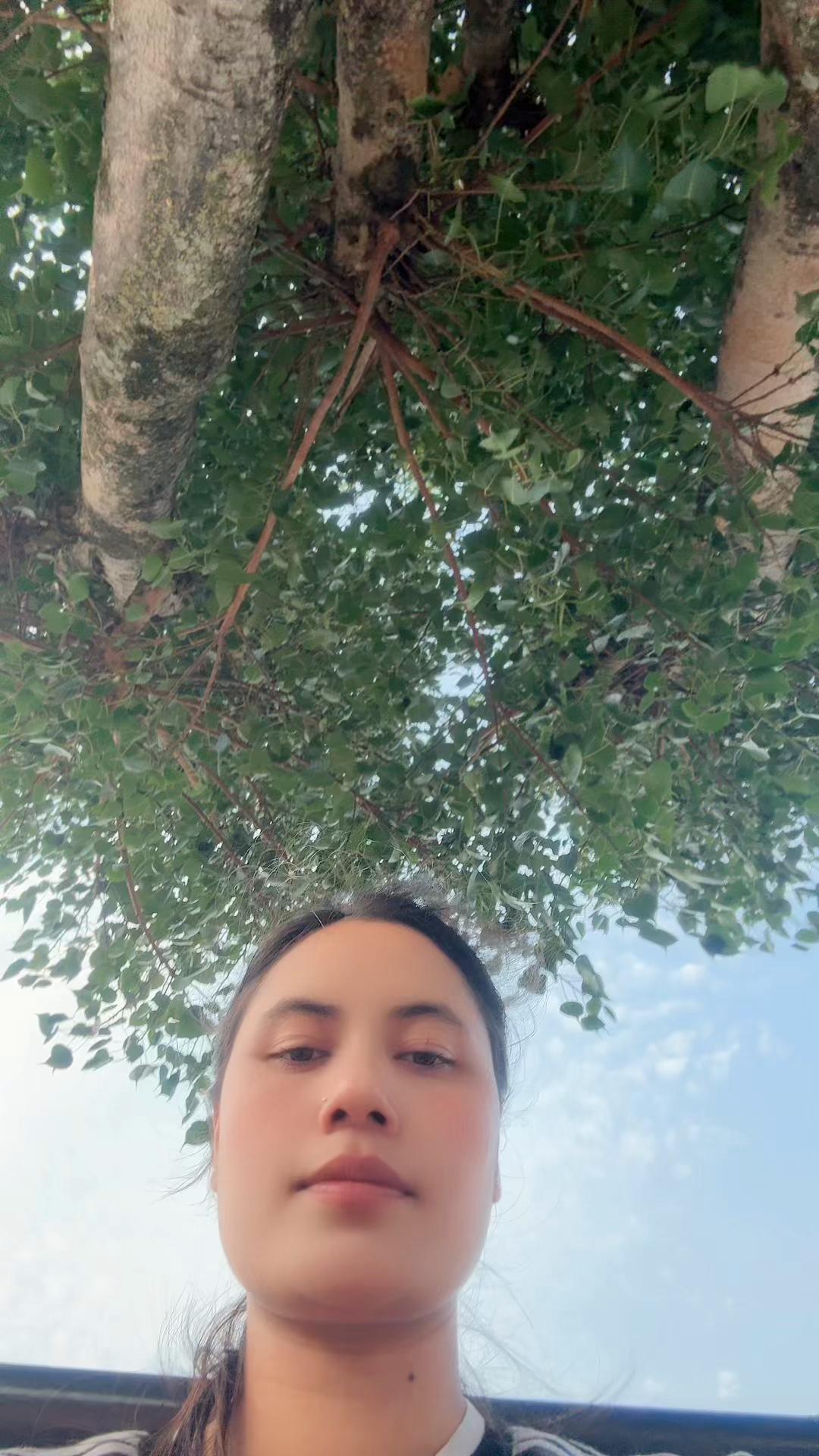 @🌸🕉🍁🕉🌺
