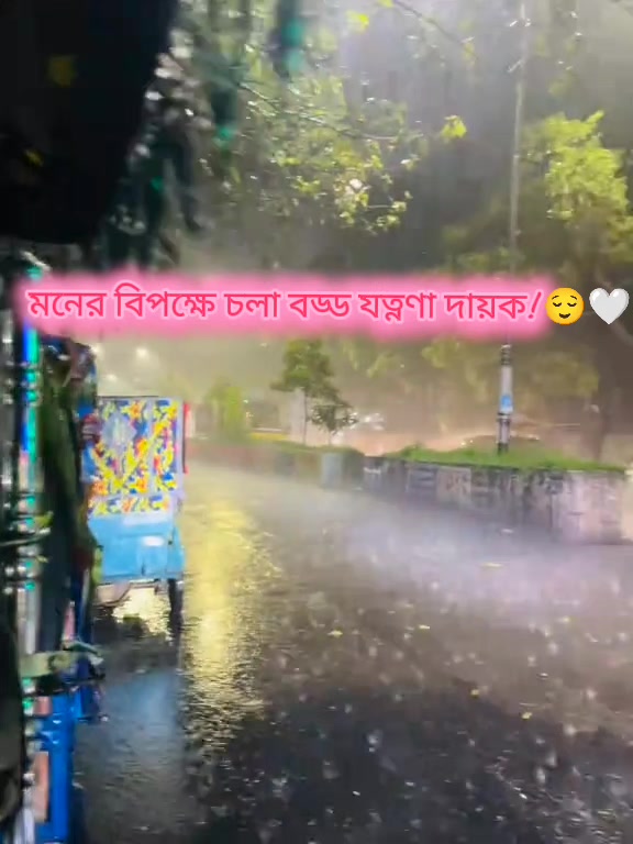 @🍓 Ns_Sajib_Ahmed 🏖️