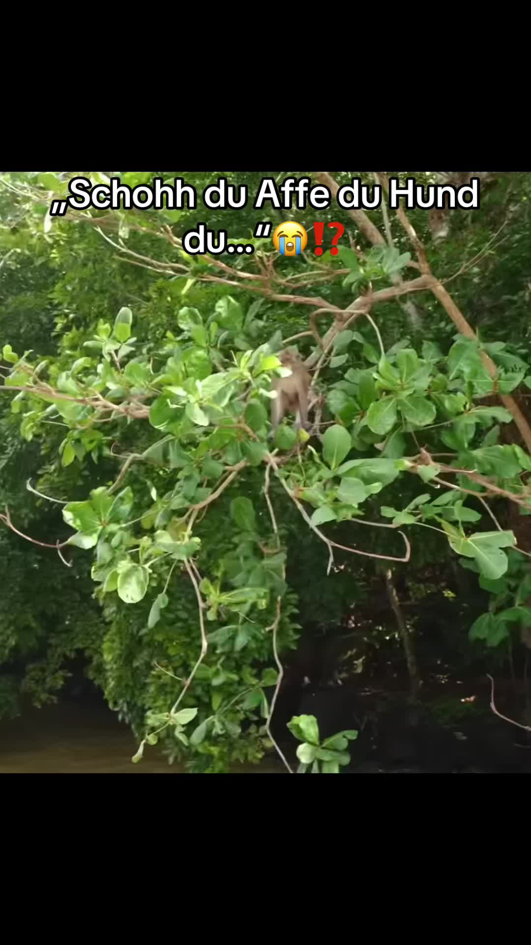 @Twitchclipsgermany