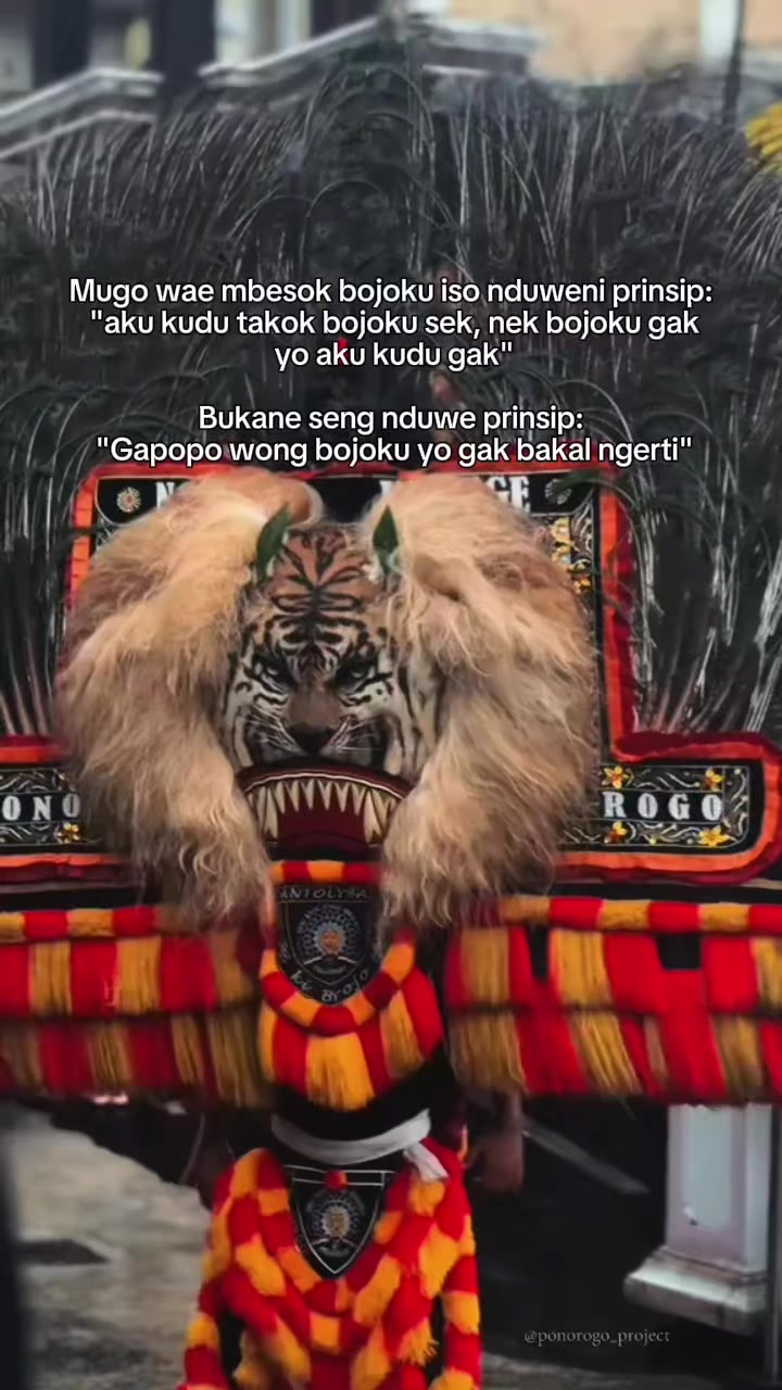 @dewipus.