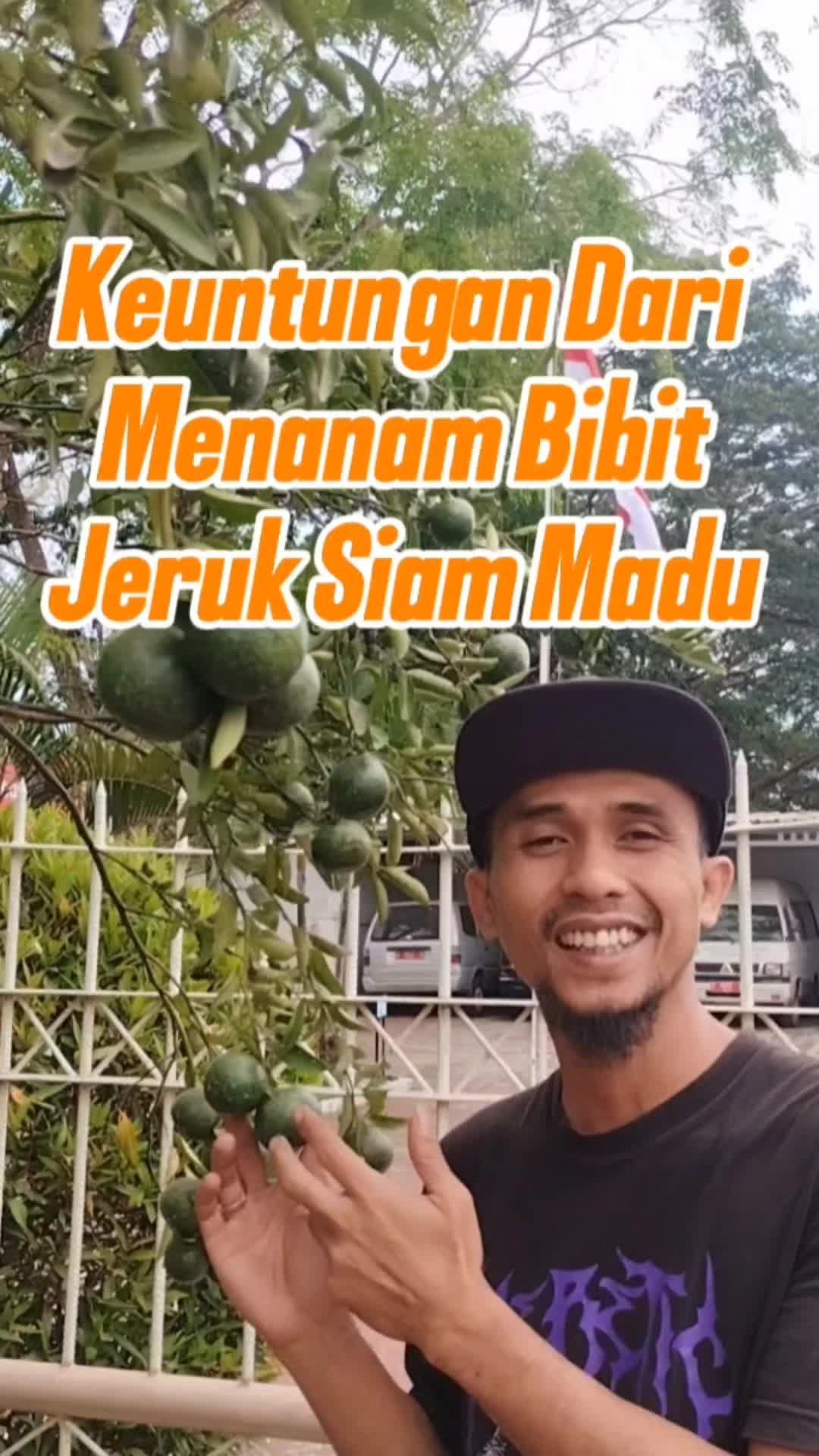 @Bukit Farming