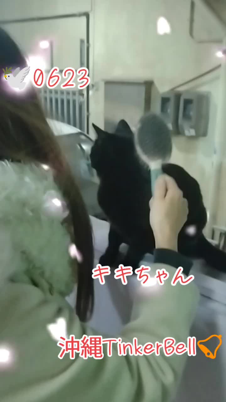 @沖縄セクキャバティンカーベル