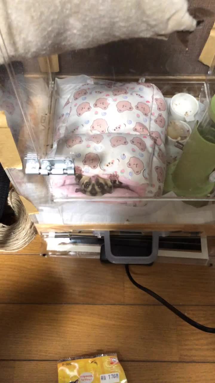 @麦