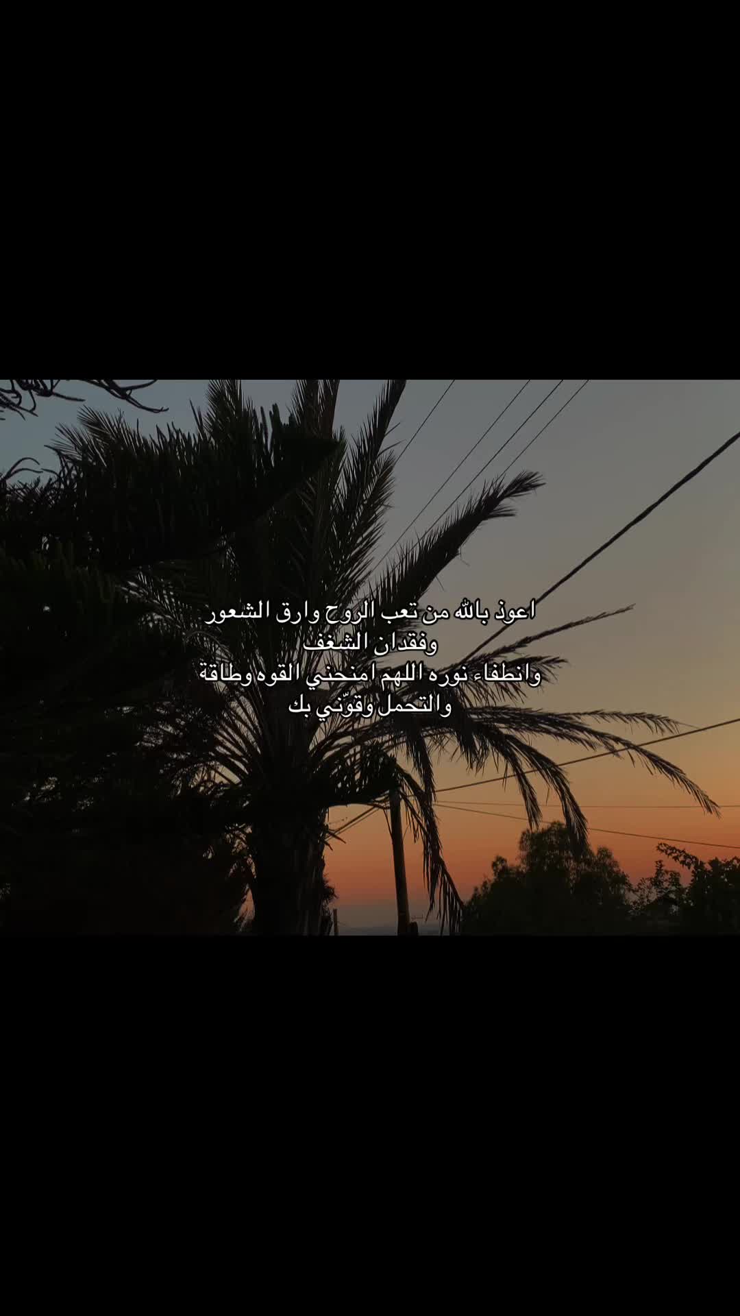@mariam kittaneh
