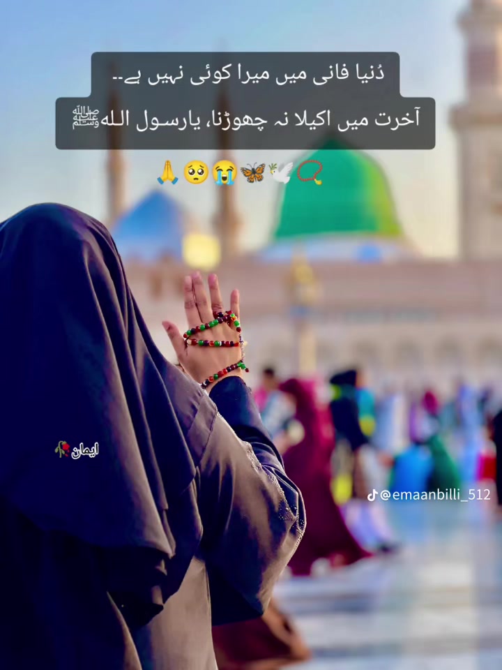 @بختاور کاشف ❤️