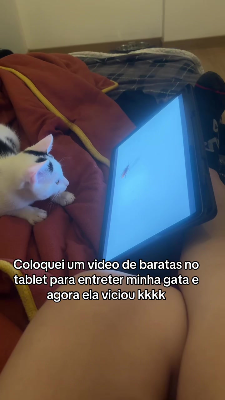 @insanny_