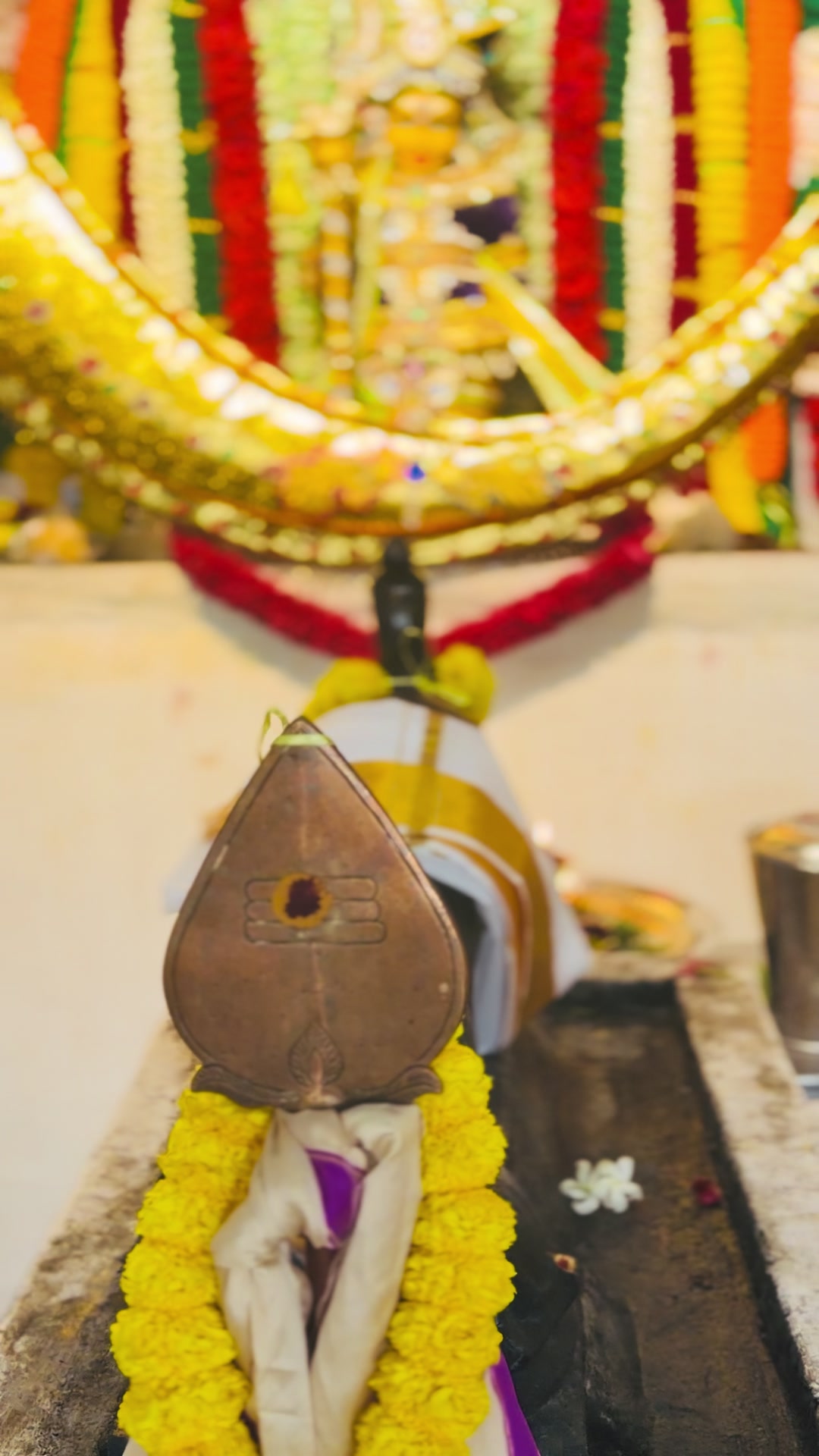 @Kirthana Harikrishnasamy๐ค