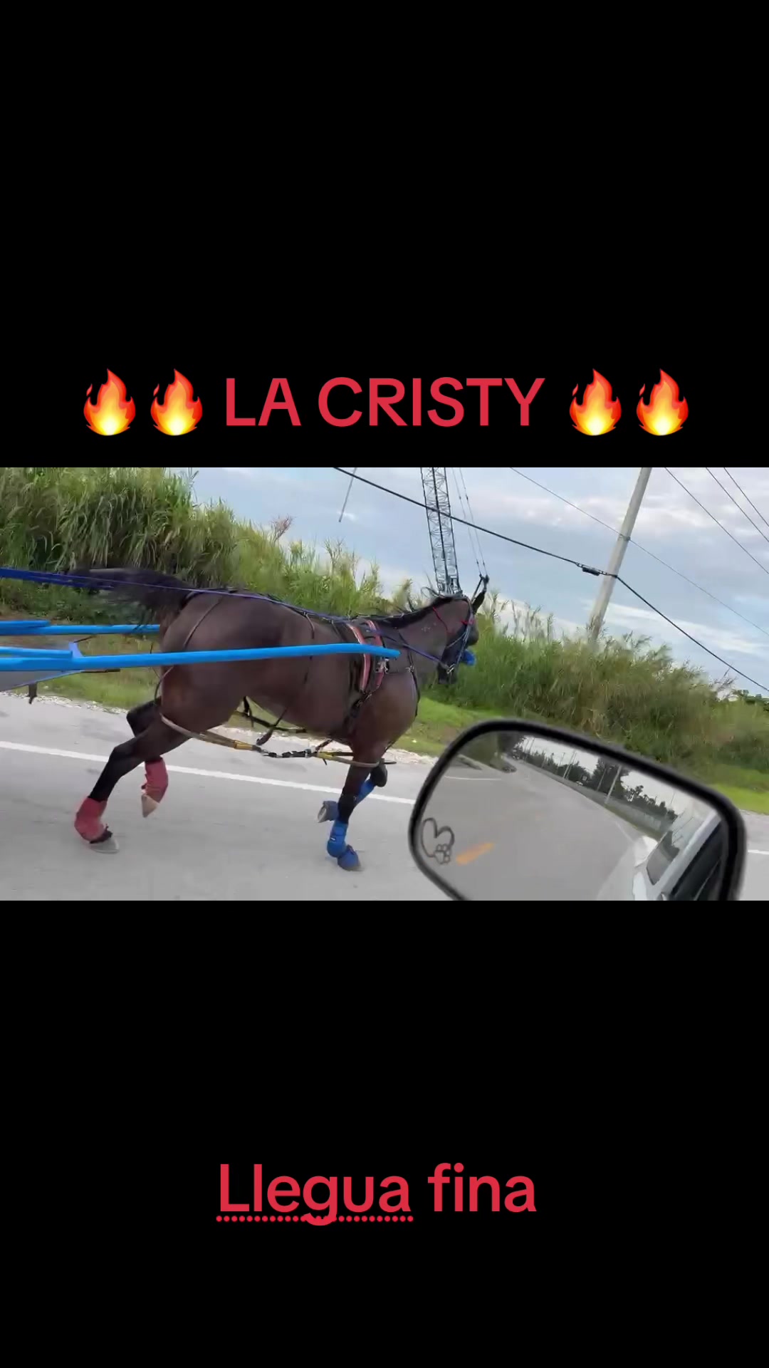 @🔥🔥❤️EL FEO ❤️🔥🔥