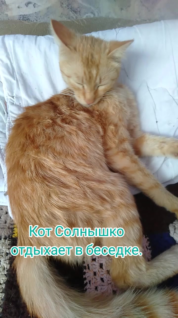 @chertkova Наталья