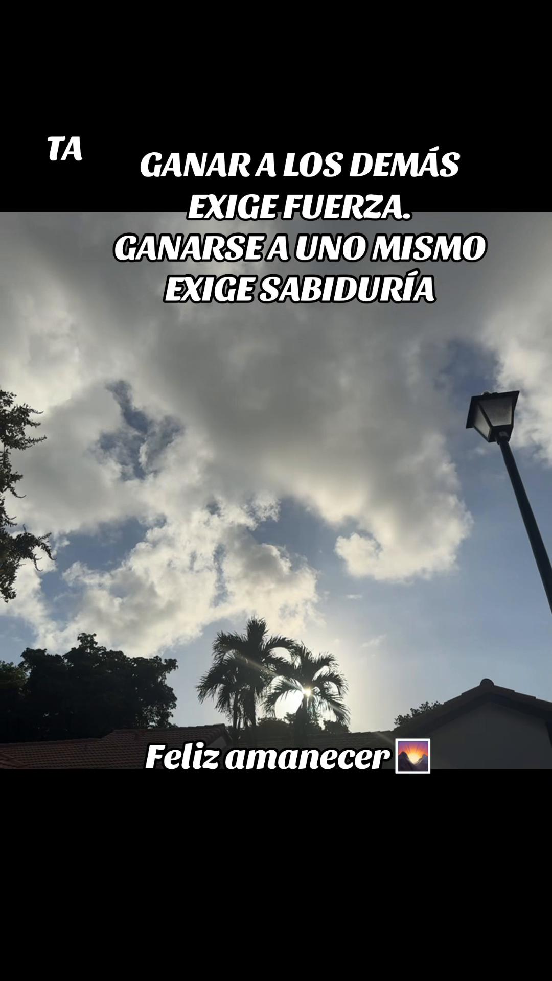 @Taimy