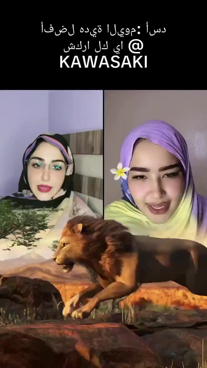 @👻نيوت👻
