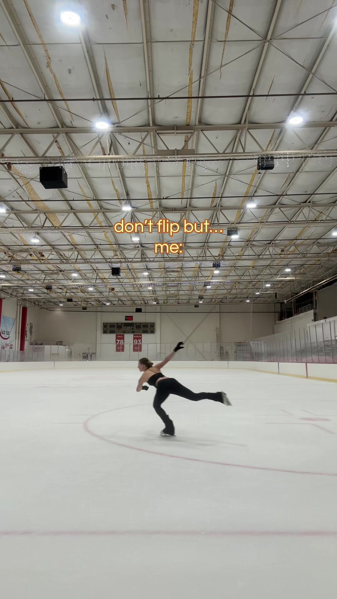 @arctic anna