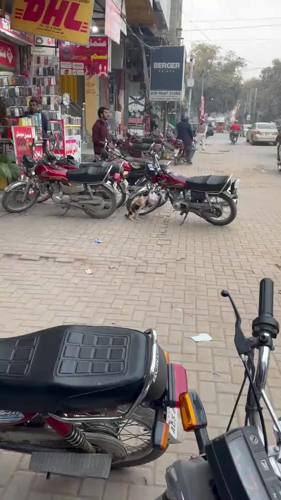 @mian sahib