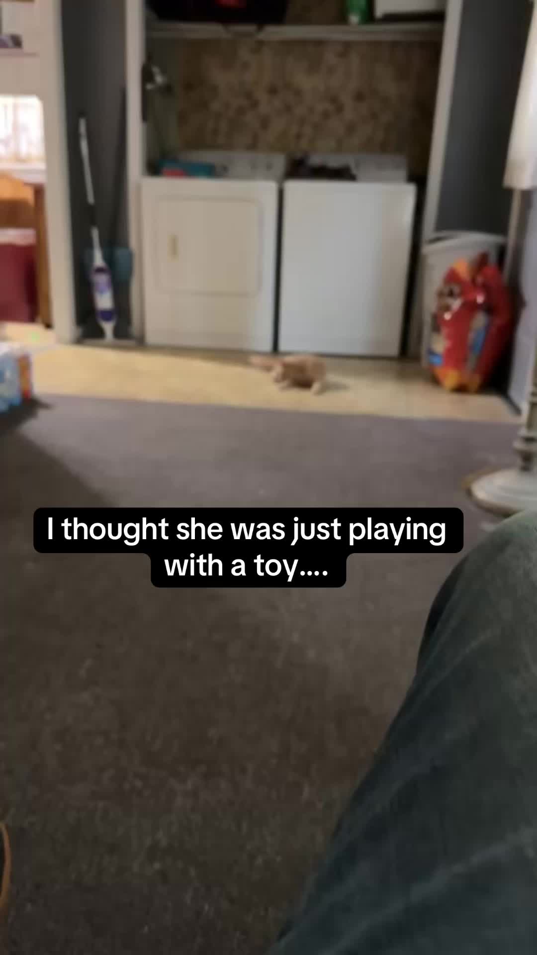 @C8jake_on_youtube
