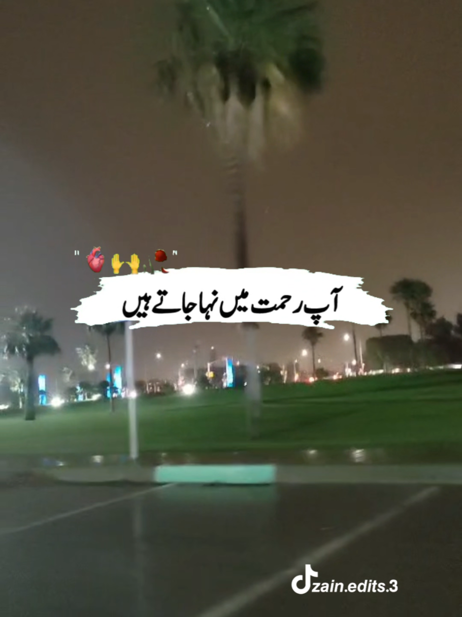 @Jannat Navid