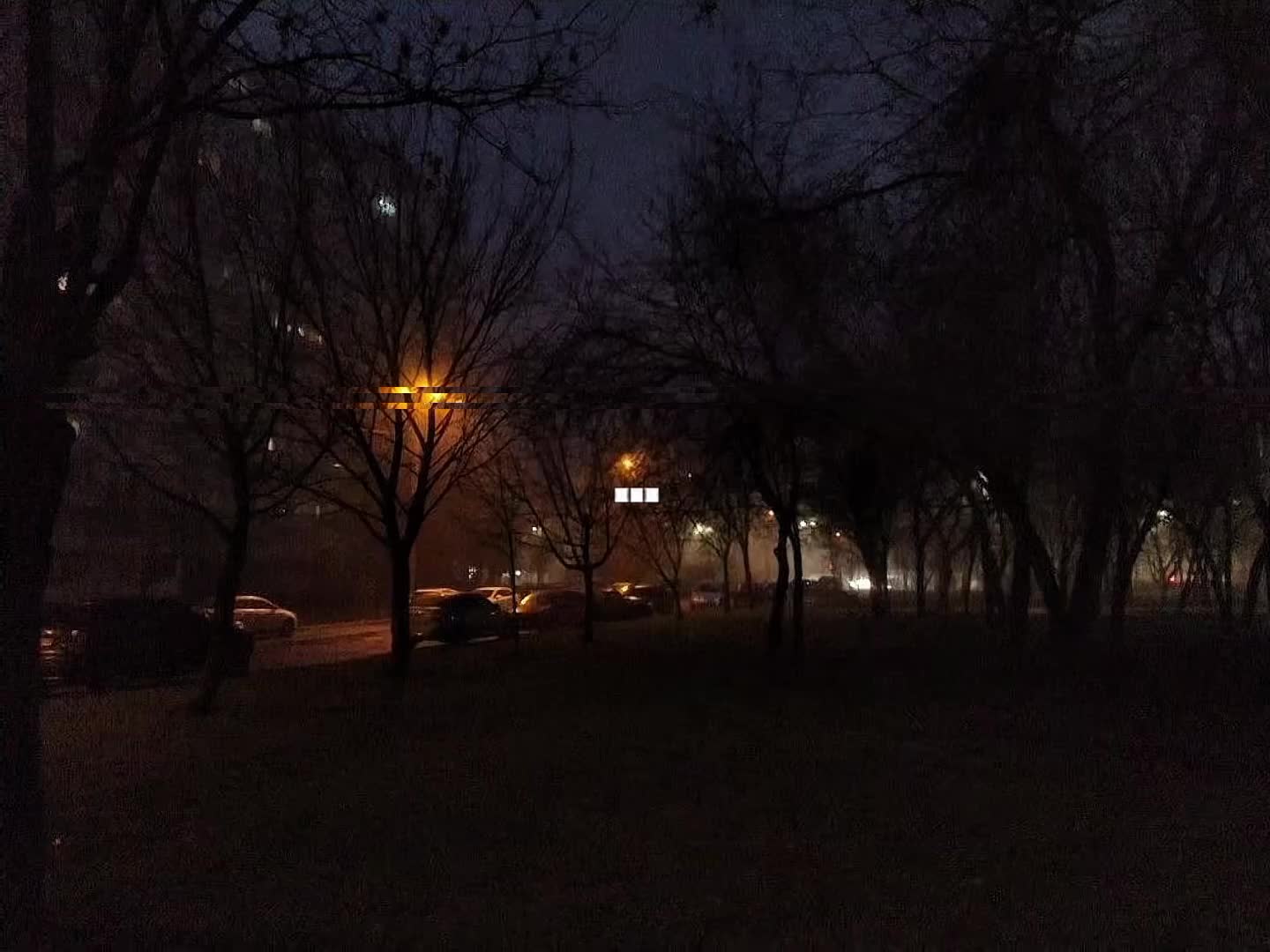 @l1k9s