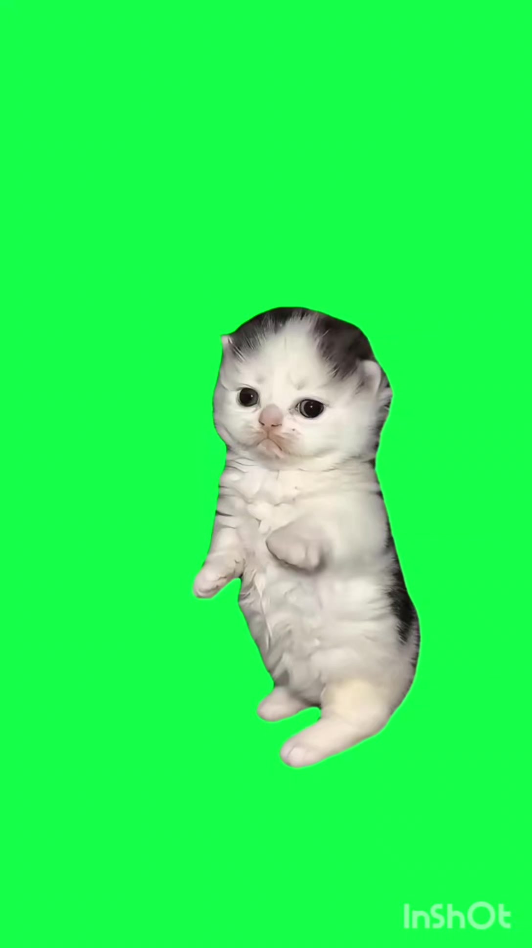 @N3ur0n