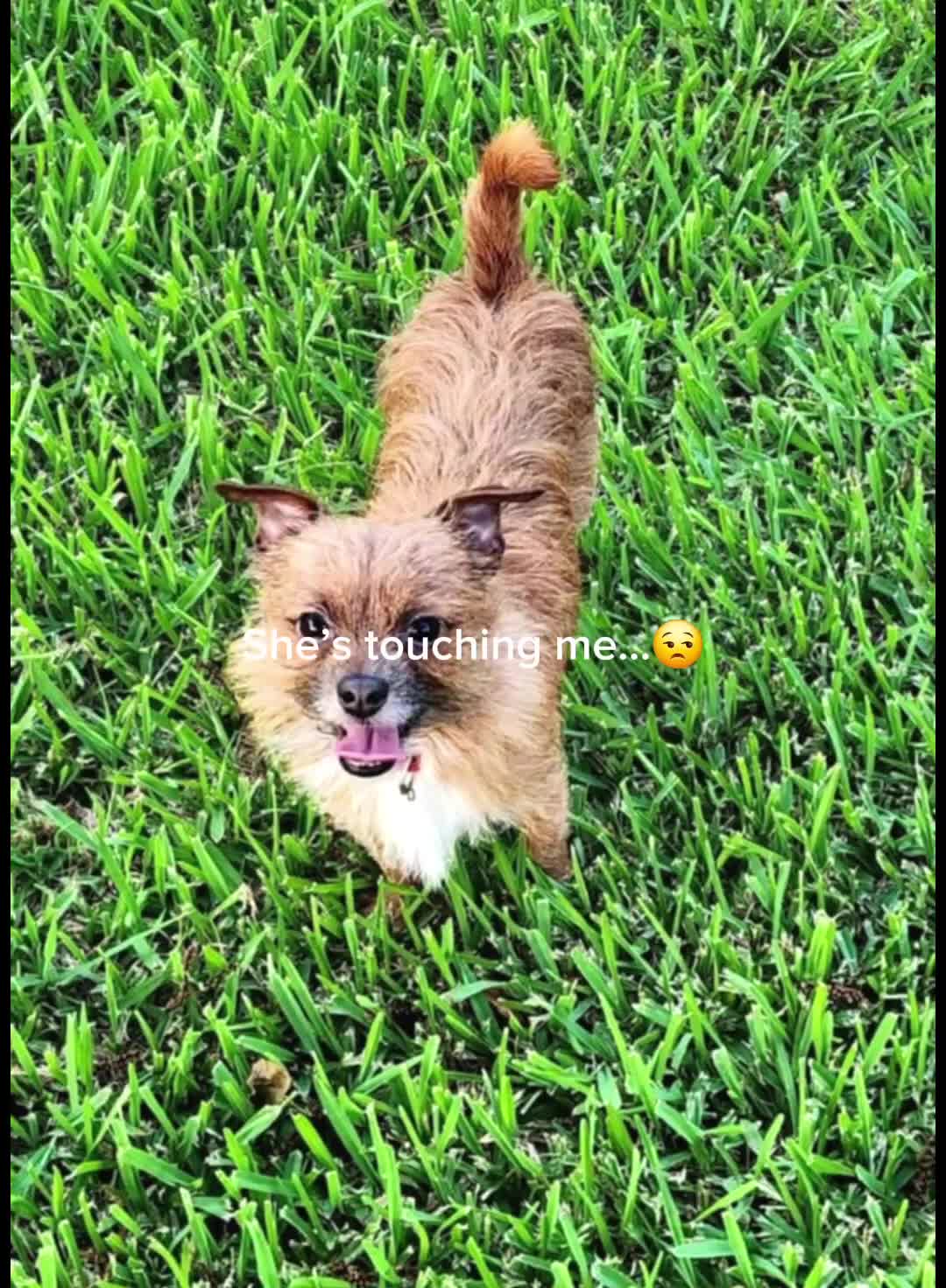 @alexa_naquin69