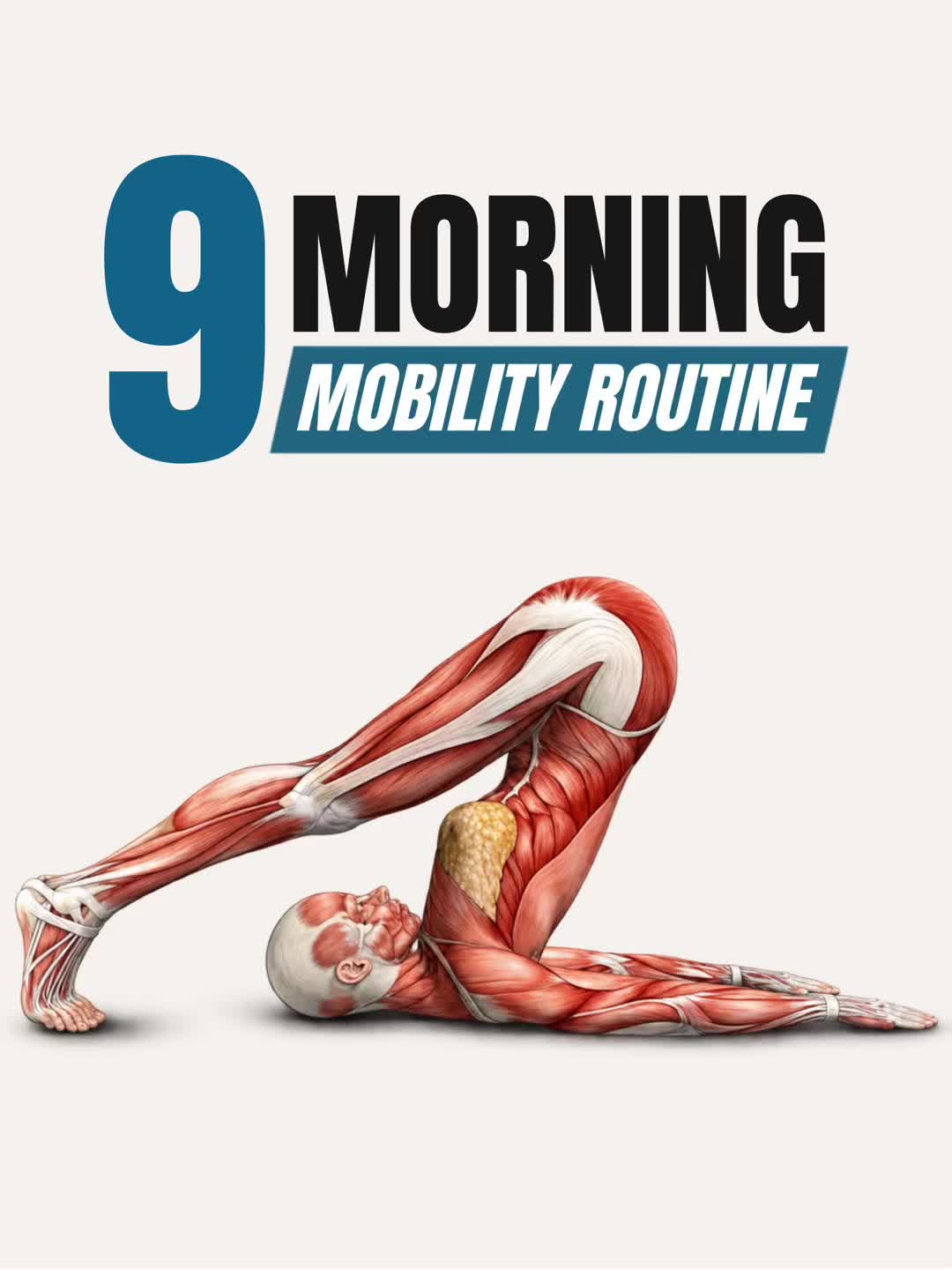 @PT Vitals | Mobility