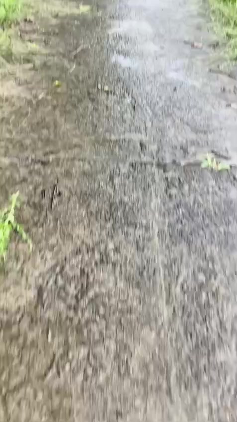 @palakaran