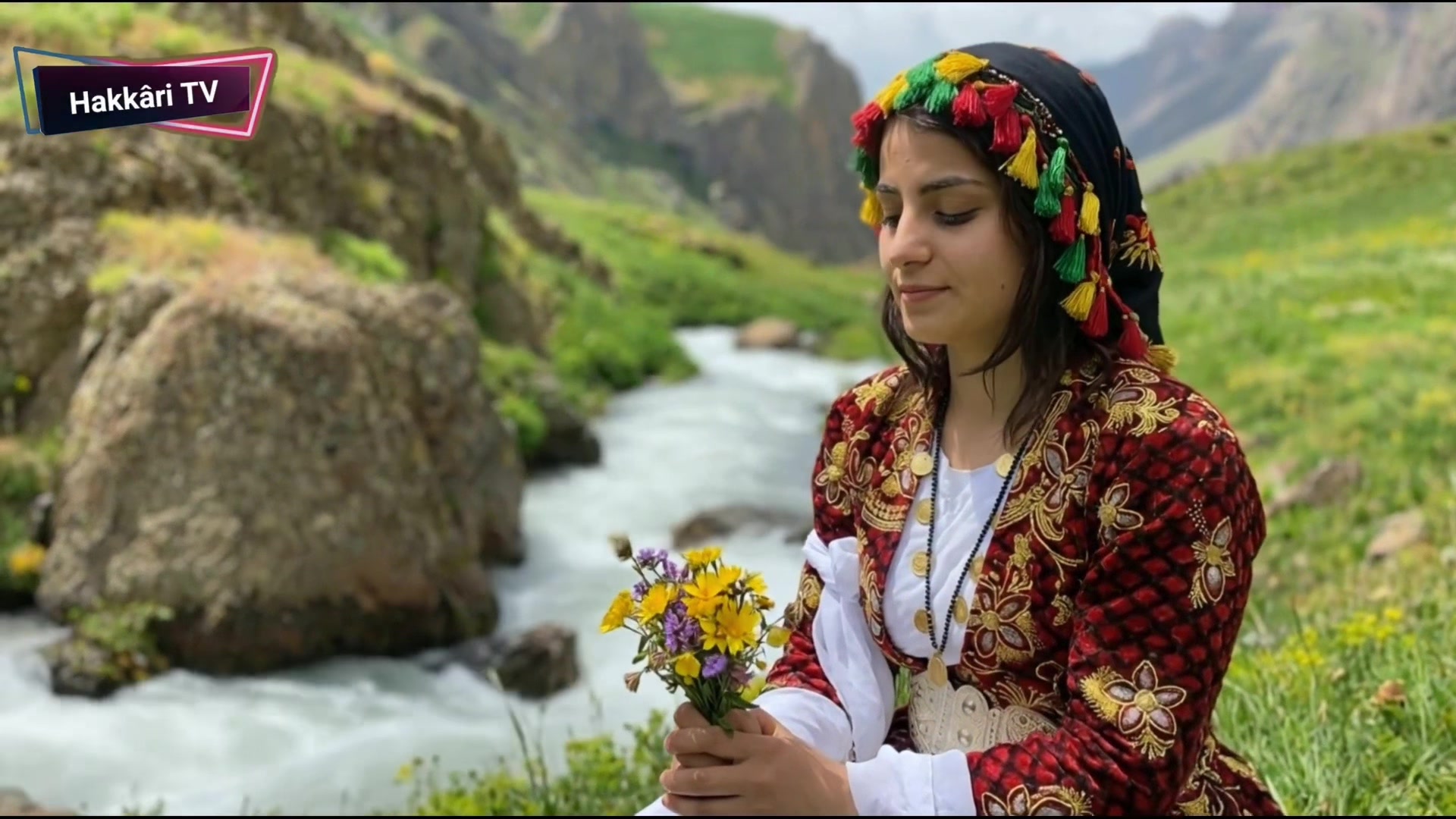 @Hakk&acirc;ri TV