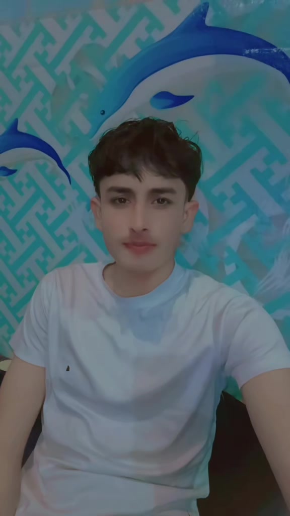 @Rana Mubarik.