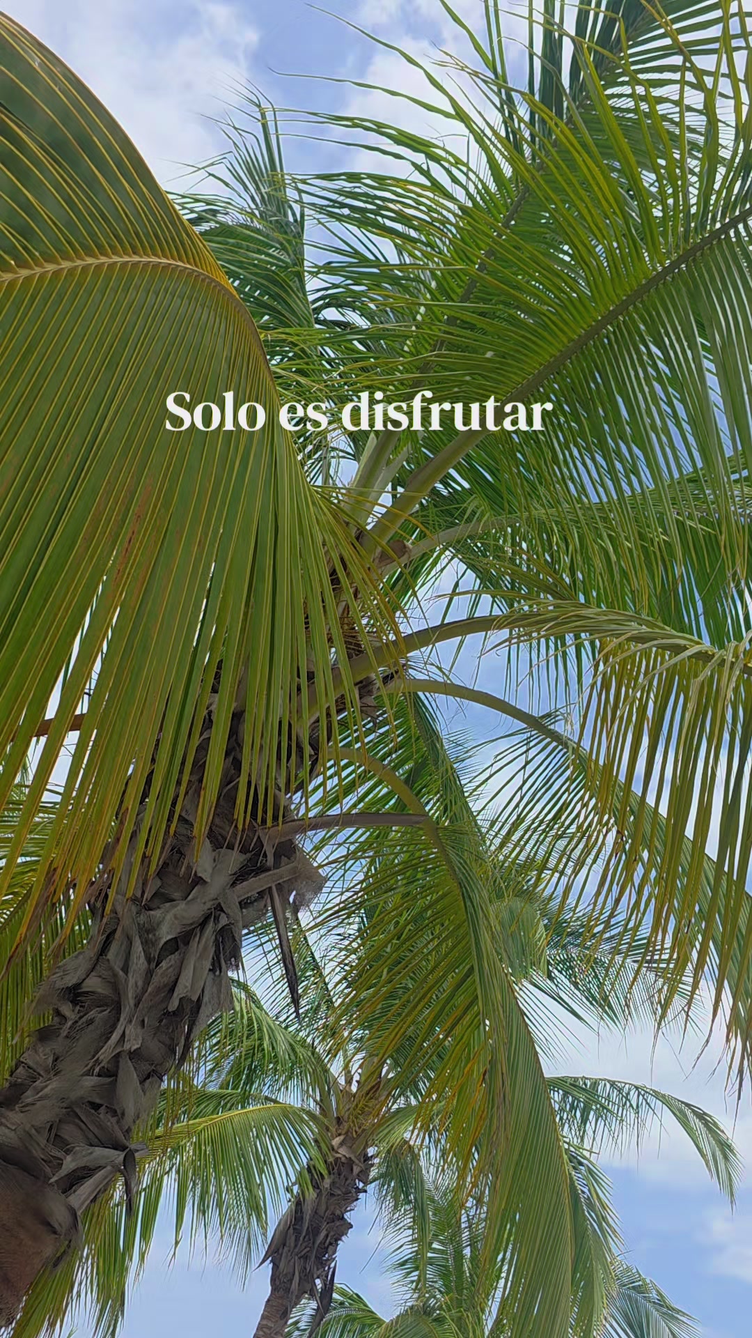 @Agencia Montelimar 🌊☀️🌴