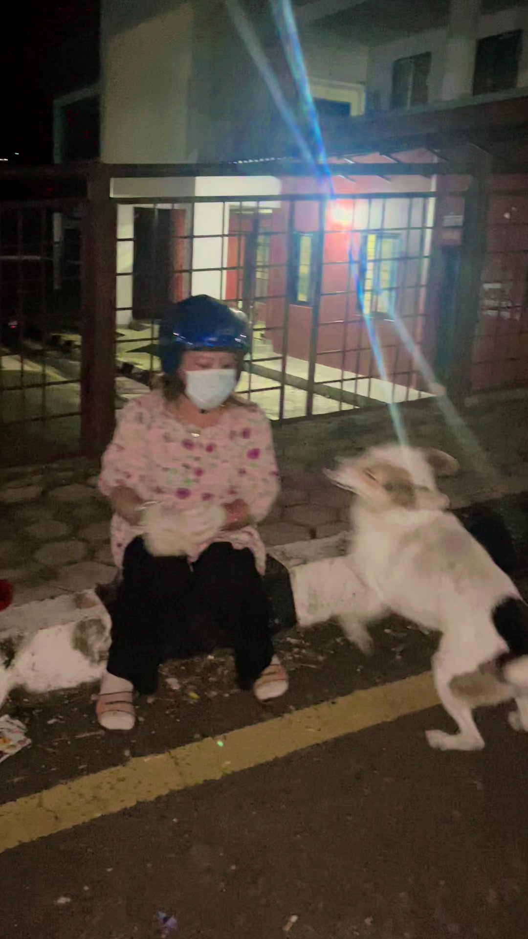 @🧿Mayara pukuli🐕🧿