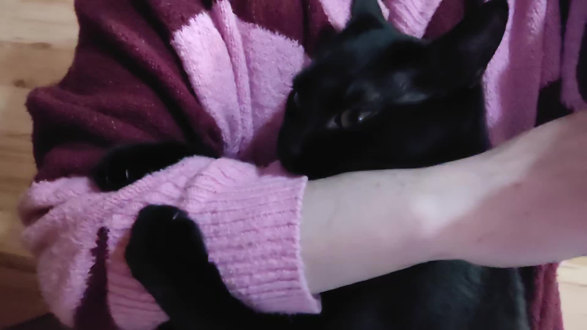 @queeerpumpkin