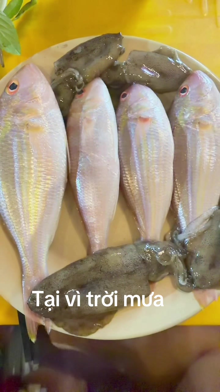 @MinhLee Nha Trang