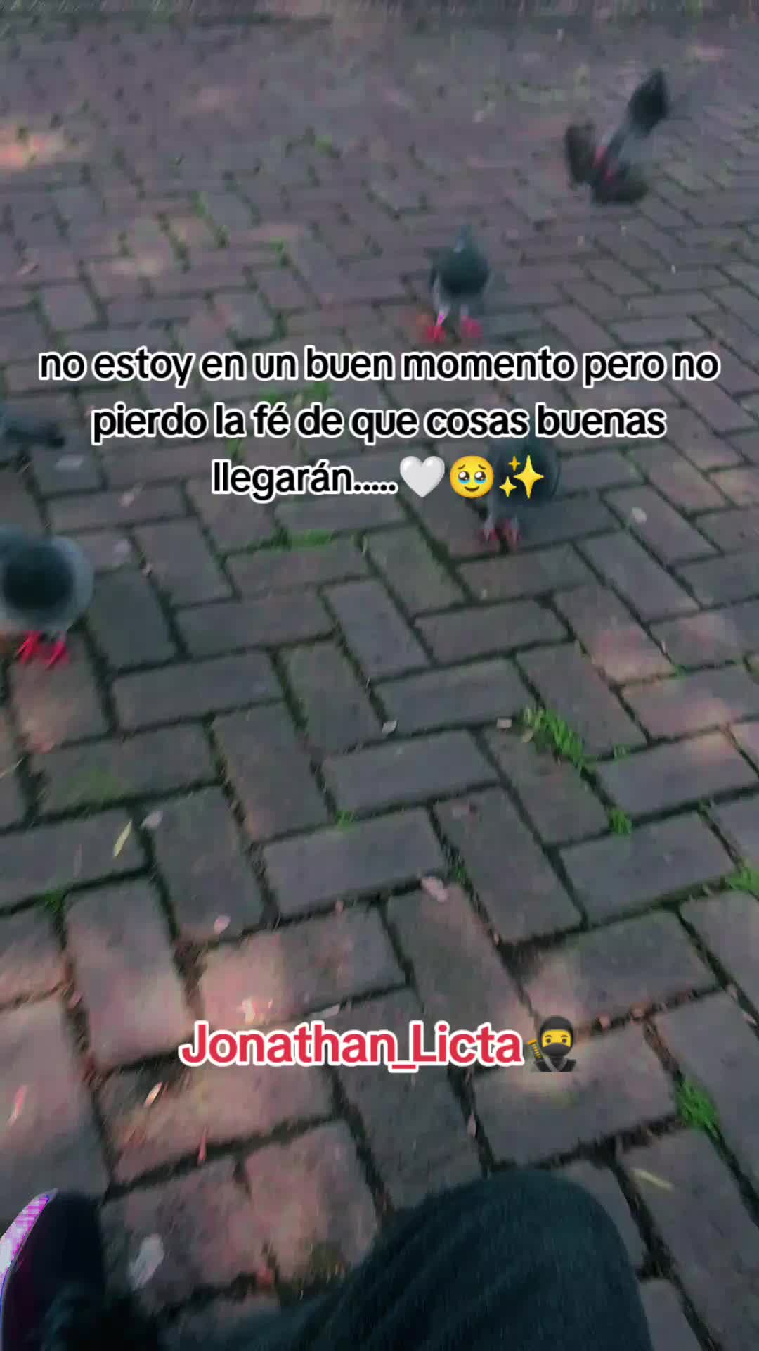 @🥷JoOny-Jl✍️🇪🇨