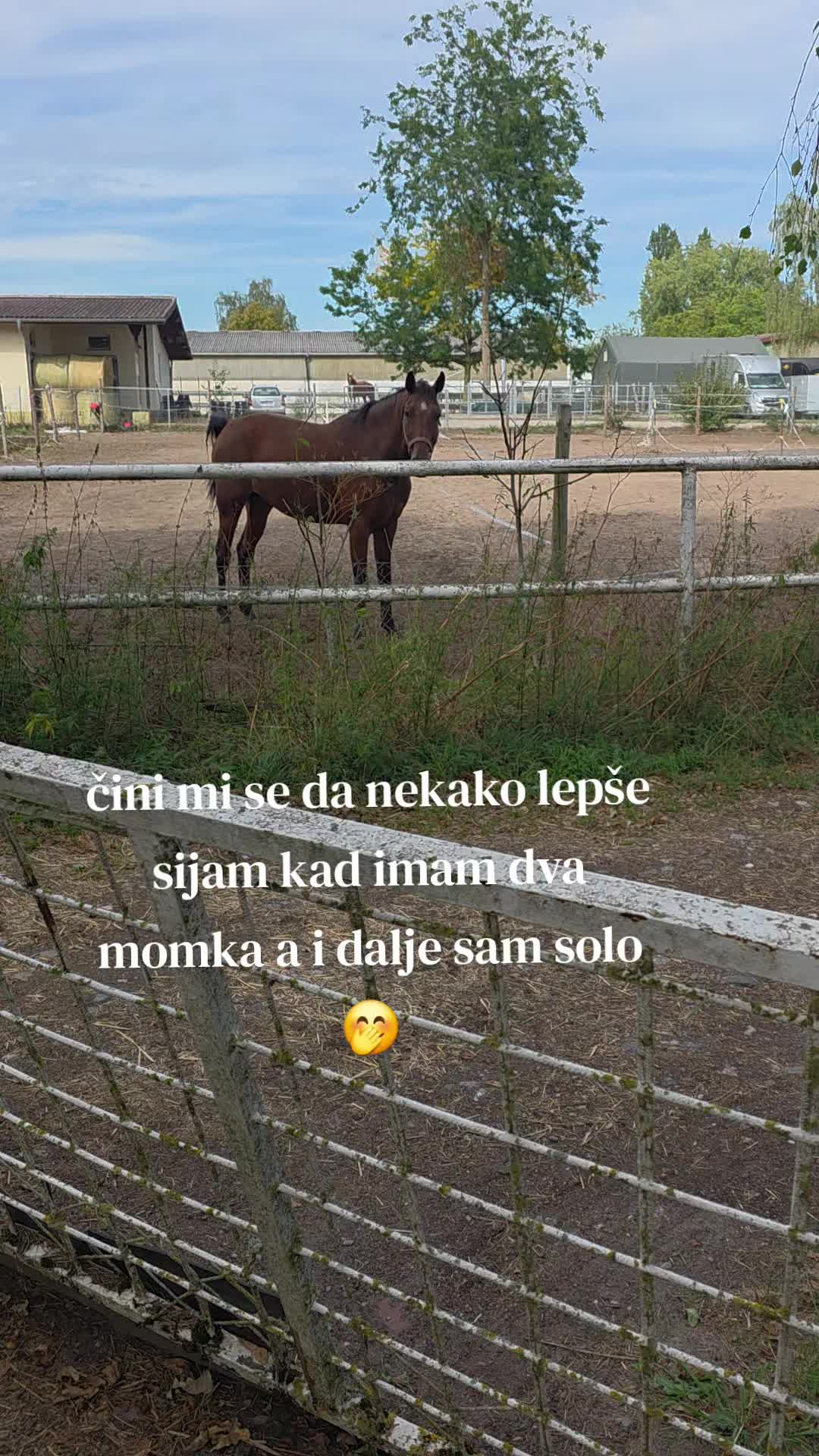 @🏅solo igračica✈️ ⭐️ ®️