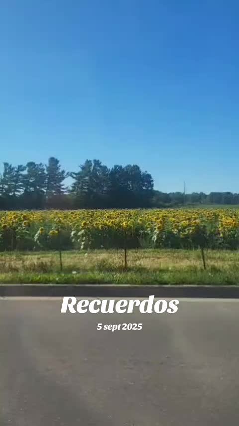 @Vallenatos para el Alma💖💖