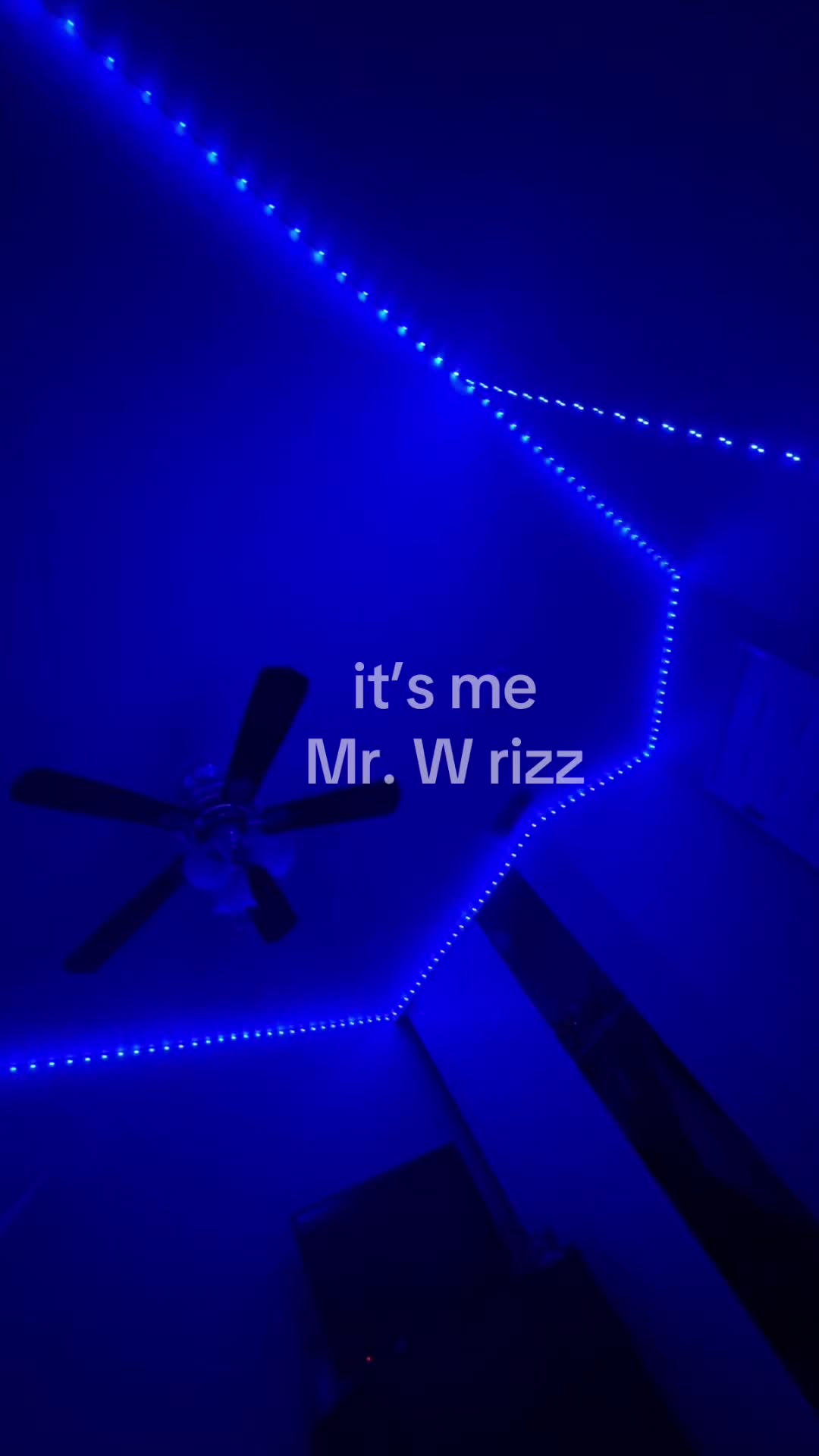 @🦧