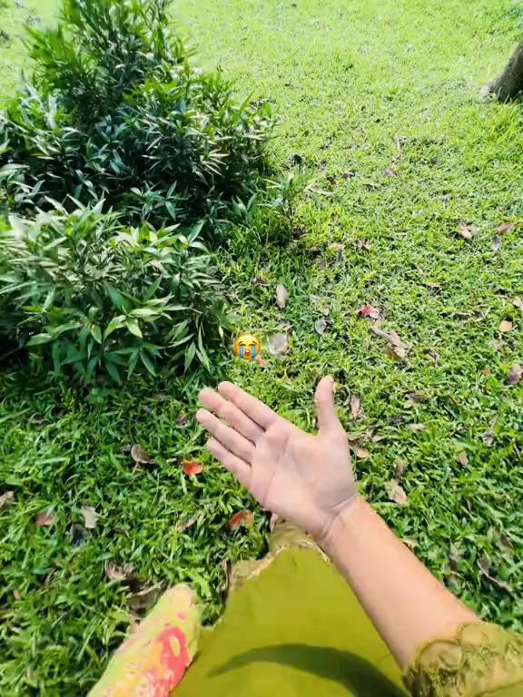 @~✧𝑺𝑰𝑵𝑻𝑯𝑰𝒀𝑨!𐙚ᥫ᭡🌷🕊️