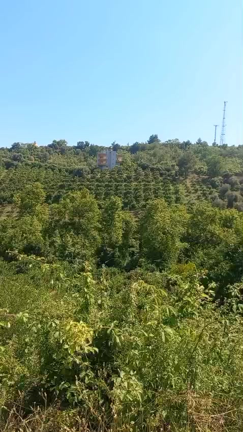 @KANCO HİZOL