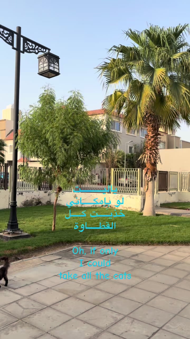 @الهـ𝓐𝓵𝓱𝓪𝓷𝓸𝓾𝓯ـنـوف