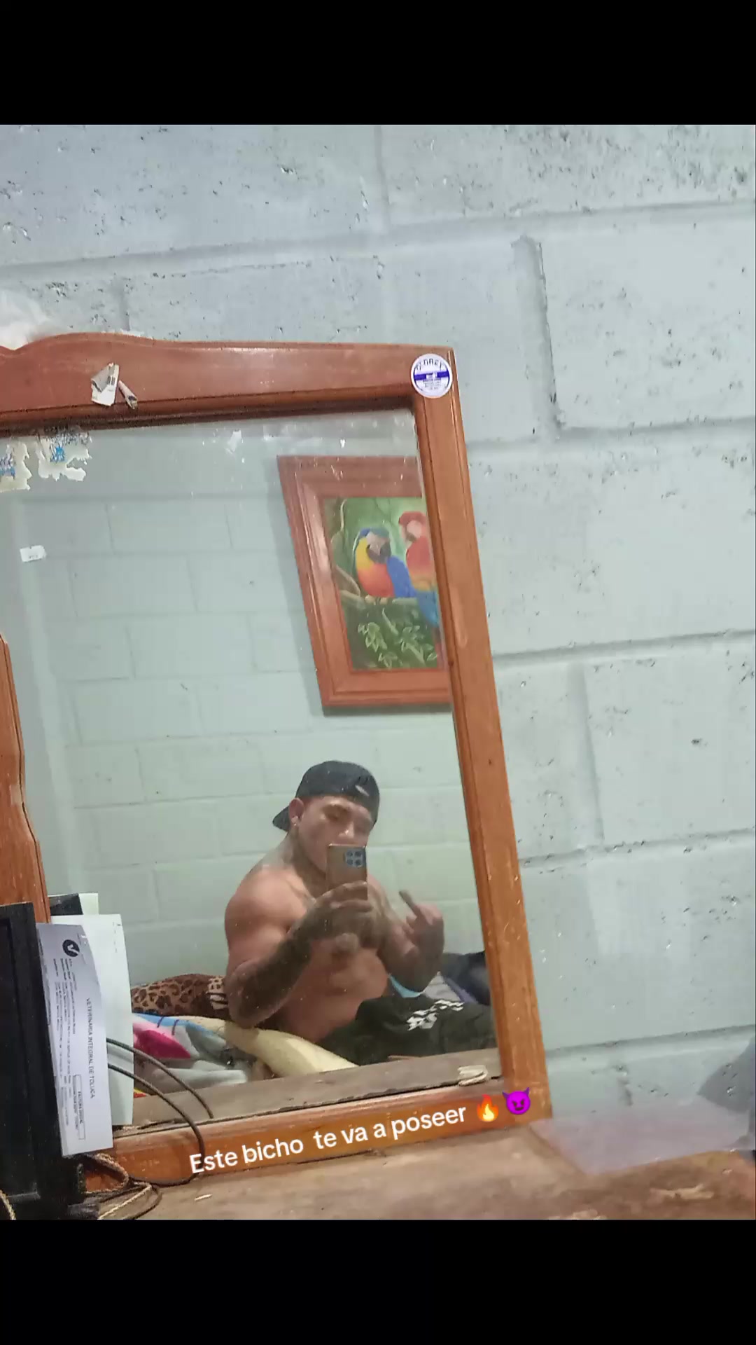 @Alexthefit