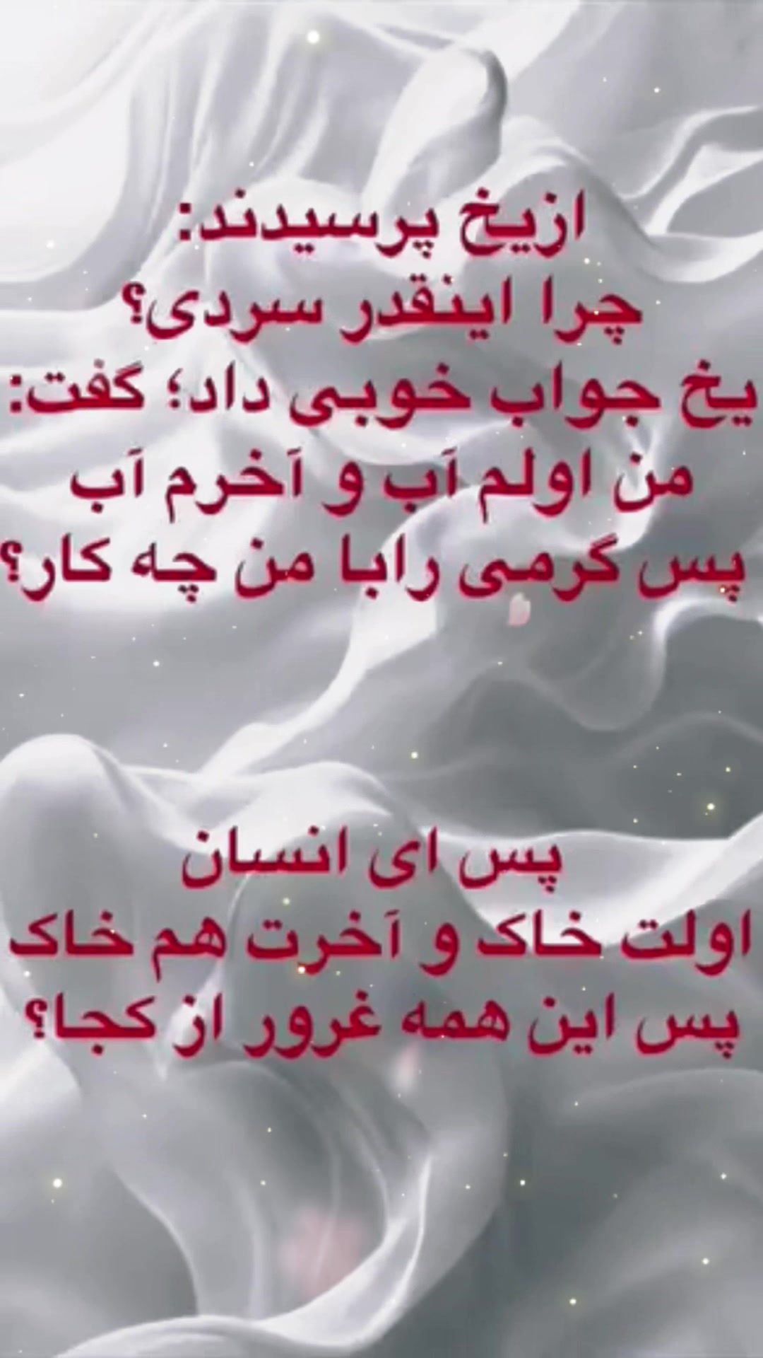 @Sara Hashimi