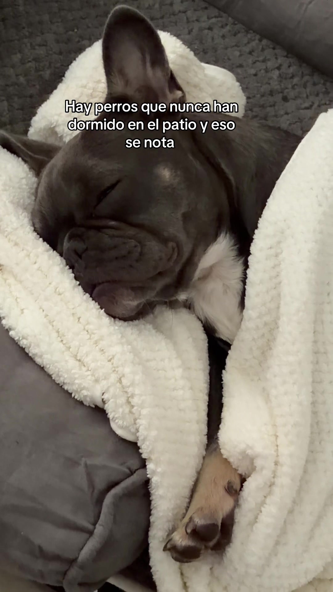@wendygomez