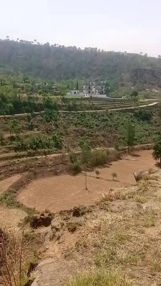 @mughlan di kuri