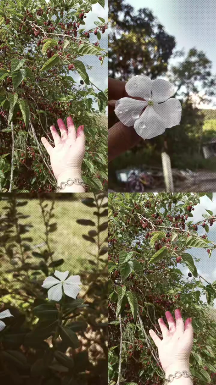 @Selin Mehmet Aktaş