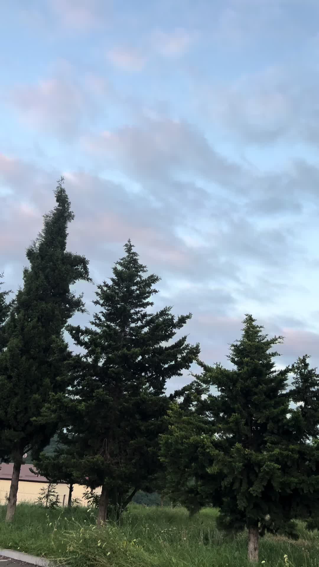 @Məhəmmed8841