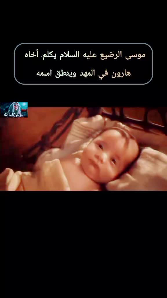 @مقتطفات-شامخه⛎